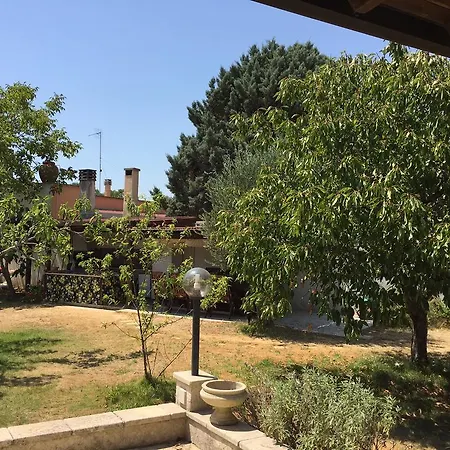 La Fata Turchina